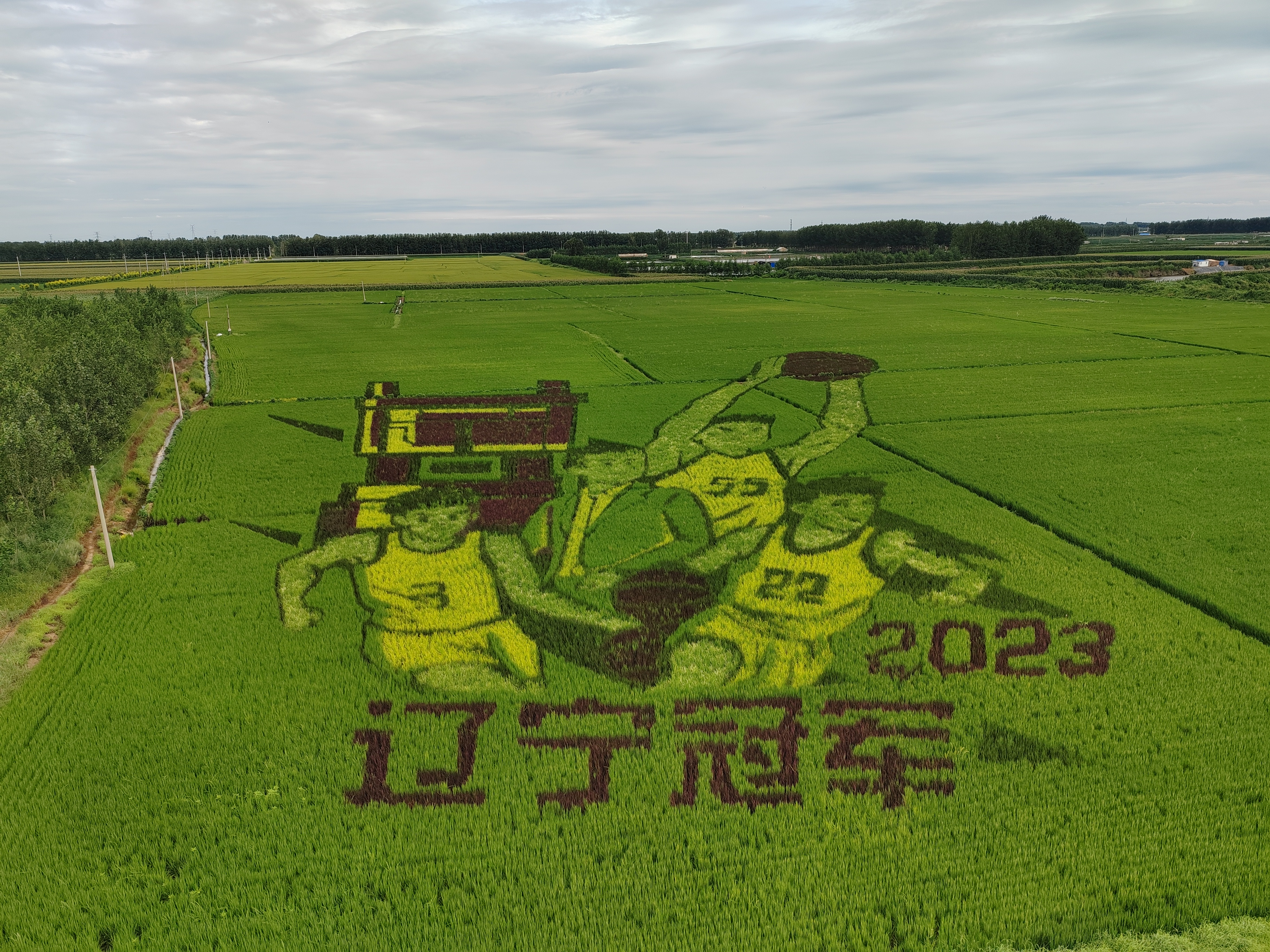 ϹNG28(й)Ʒ޹˾